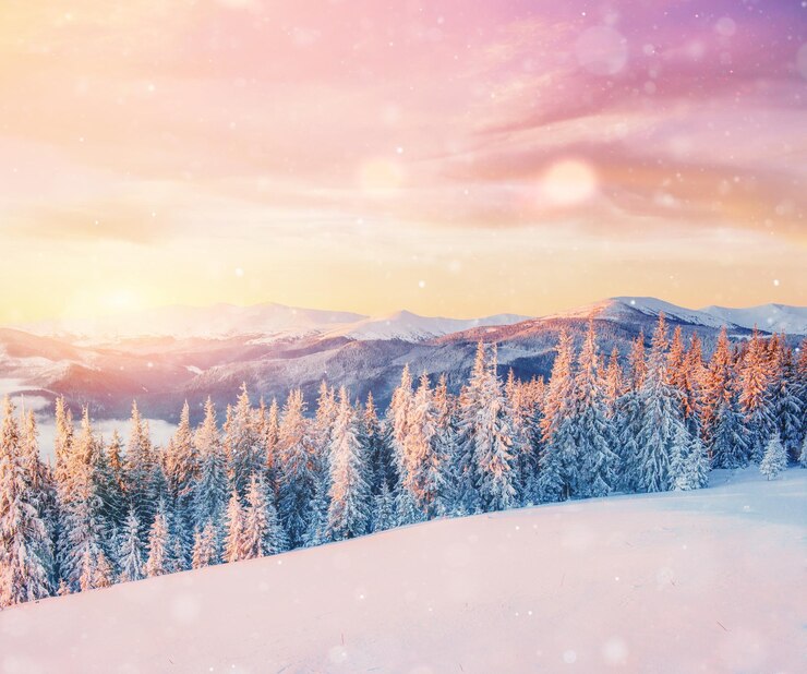 Photo mysterious winter landscape majestic mountains in winter magical winter snow covered tree photo greeting card bokeh light effect soft filter