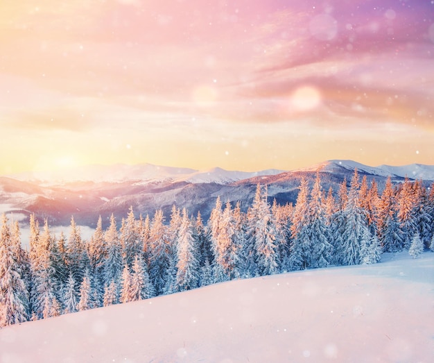 Photo mysterious winter landscape majestic mountains in winter magical winter snow covered tree photo greeting card bokeh light effect soft filter