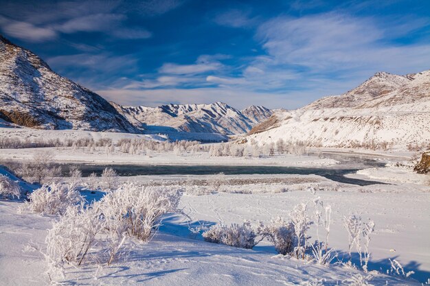 Mysterious winter landscape majestic mountains in winter Magical winter snow covered tree