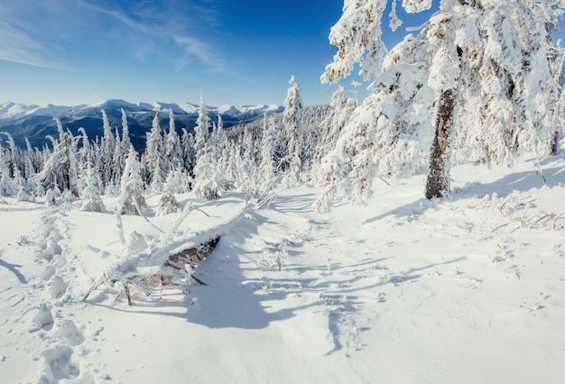 Mysterious winter landscape majestic mountains