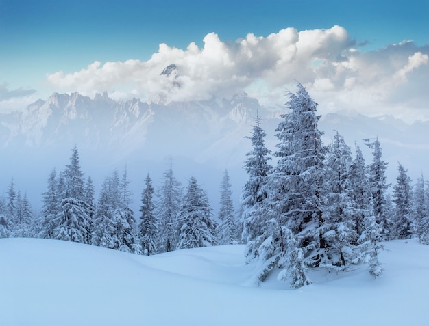 Mysterious winter landscape majestic mountains