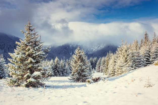 Mysterious Winter landscape with fog, majestic mountains 