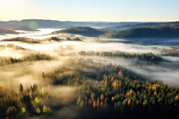 Mystical Autumn Splendor Aerial View of Enchanting Forest Blanketed in Morning Mist