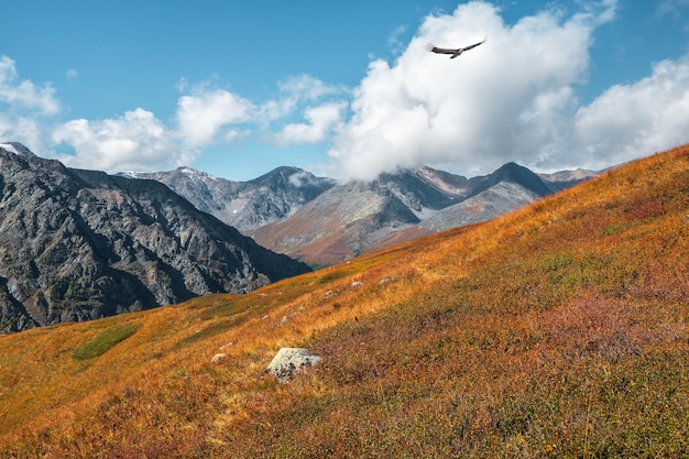 神秘的な山の谷 アルタイ山脈の秋のポスター 山の谷の日当たりの良い秋のシーン 風景写真 美しい秋の風景