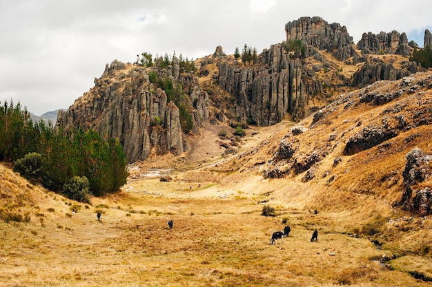 Mystical rock formations of Cumbemayo in Cajamarca PERU