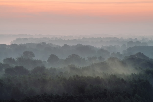 Vista mistica dall'alto sulla foresta sotto la foschia al mattino presto