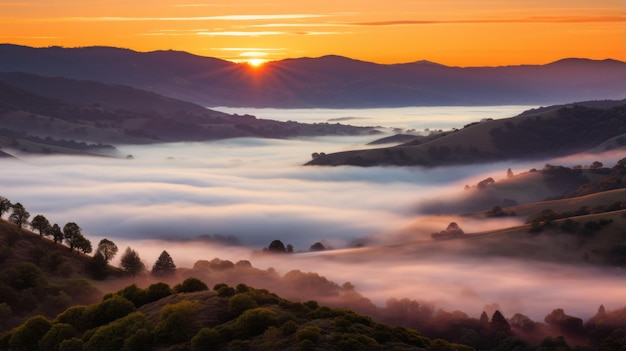 Mystieke Morning Glory onthult de geheimen van de gouden verlichting van Enigmatic Fog Valley