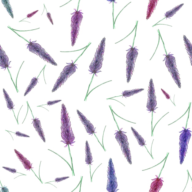 Naadloos bloemenpatroon met lavendelbloemen.