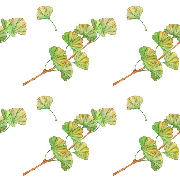 Naadloos patroon ginkgo biloba groene en gele bladeren print plantkunde gebladerte Aquarel takken Bladeren clip art