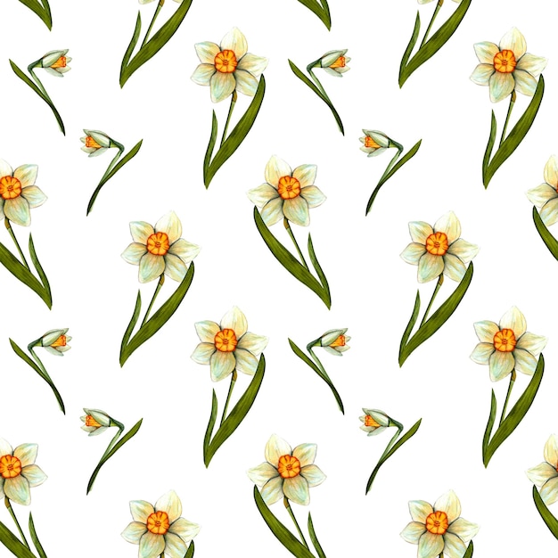 Naadloos patroon Lente aquarel narcissen Bloemen met stengel en blad Lente botanische print