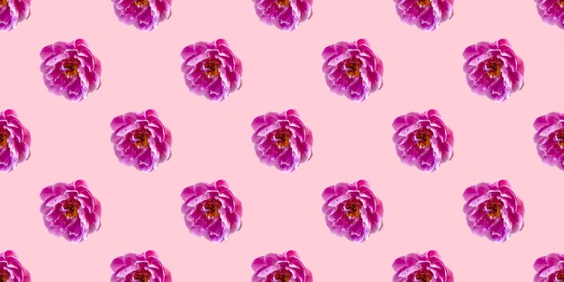 Naadloos patroon met bloemen roze pioenen