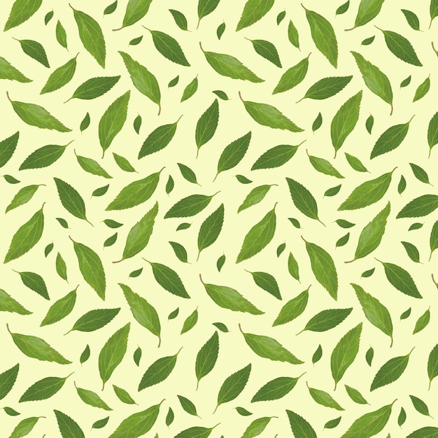 Naadloos patroon met groene bladeren op een gele achtergrond Natuurlijk ornament