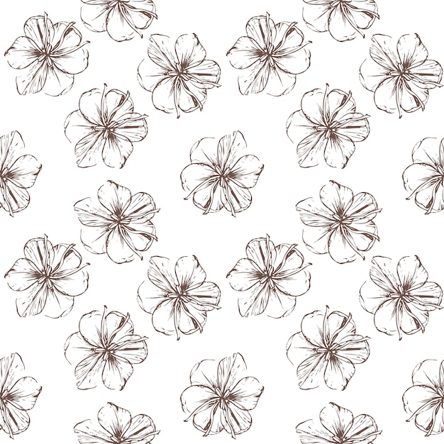 Naadloos patroon met met de hand getekende saffraanbloemen en pestels Crocus illustratie clipart op een wit
