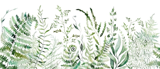 Naadloze grens met waterverf varens en botanische groene bladeren geïsoleerde illustratie bruiloft