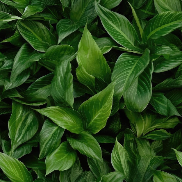 Naadloze groene bladeren van planten