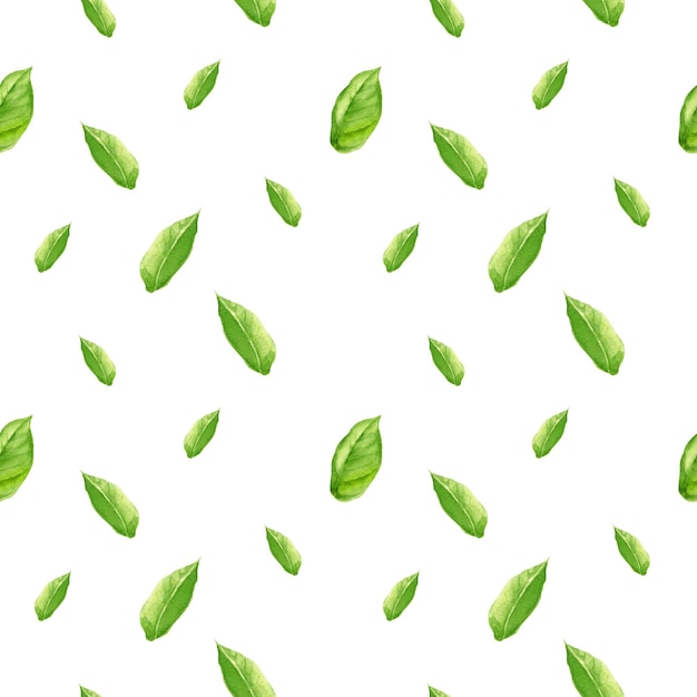 Naadloze patroon met aquarel verse groene bladeren hand getrokken schets botanische illustratie