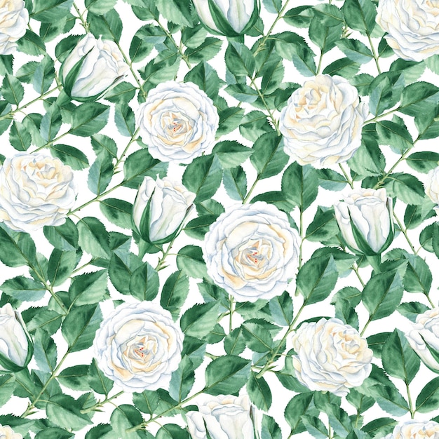Naadloze patroon met witte rozen en groene bladeren op witte achtergrond rustieke stijl aquarel