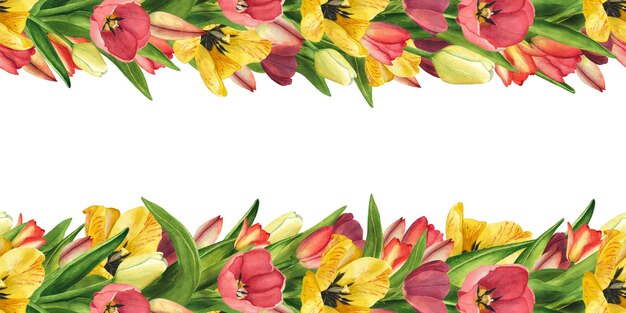 Naadloze rand met tulpen geel rood aquarel illustratie Pasen bloemen voor sjabloon poster vrouwendag 8 maart