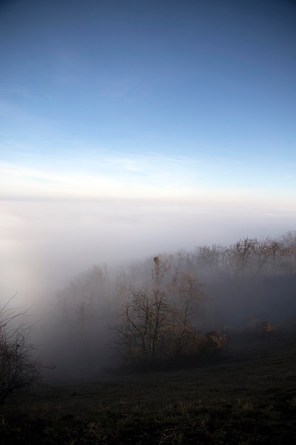 Naakte bomen in het landschap tegen de lucht