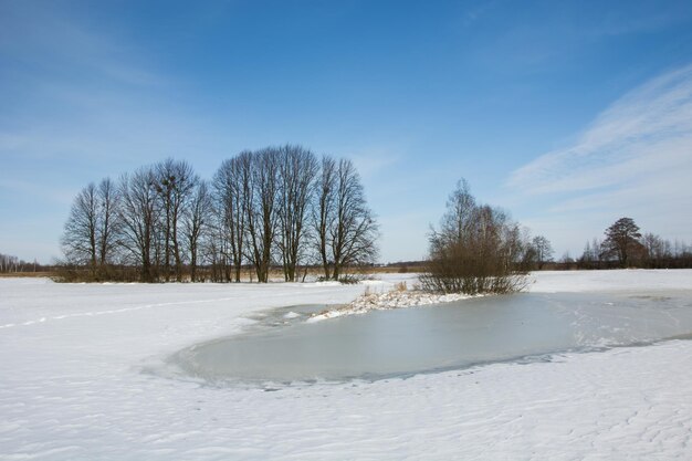 Naakte bomen op het sneeuwveld tegen de lucht tijdens de winter