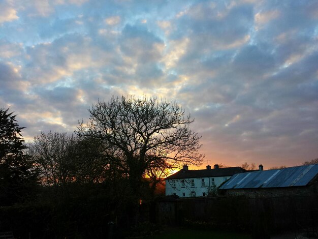 Foto naakte bomen tegen bewolkte hemel bij zonsondergang