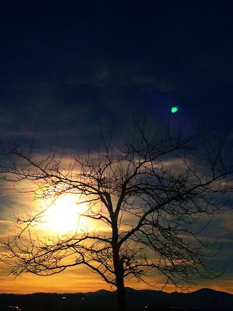 Foto naakte bomen tegen de hemel bij zonsondergang