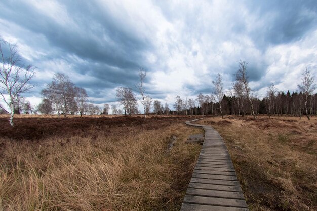 Foto naakte bomen tegen de lucht.