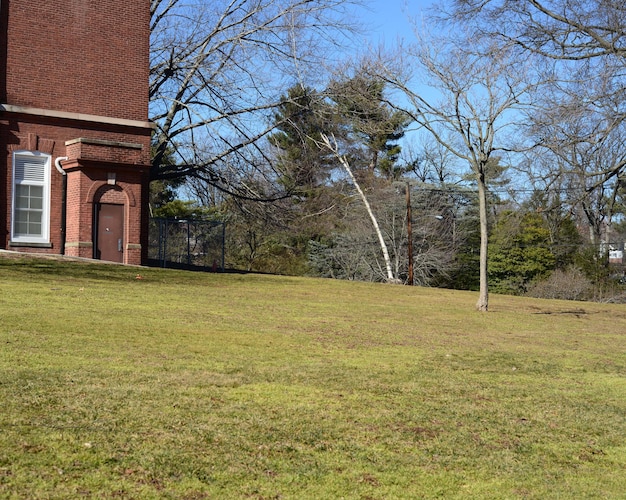 Foto naakte bomen tegen de lucht