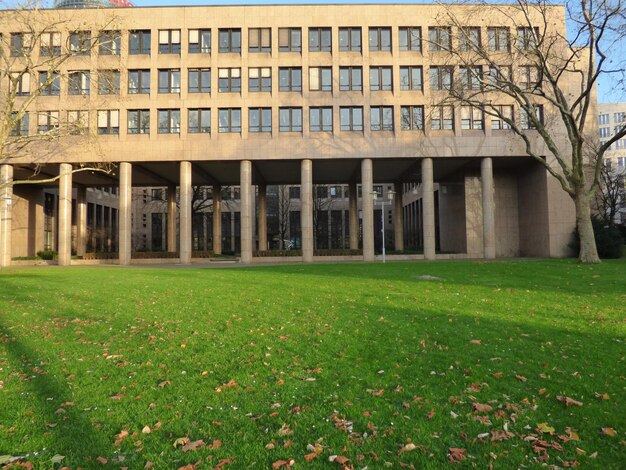 Foto naakte bomen tegen het gebouw