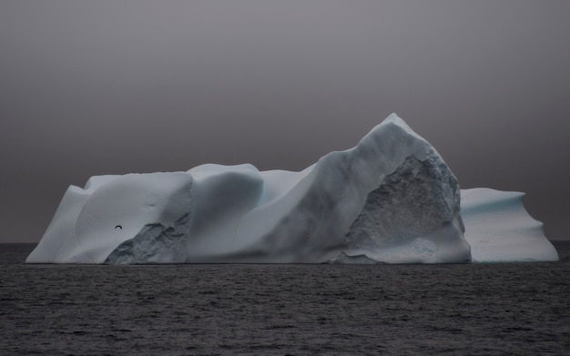 Naar het hart van de natuur reizen naar antarctica.