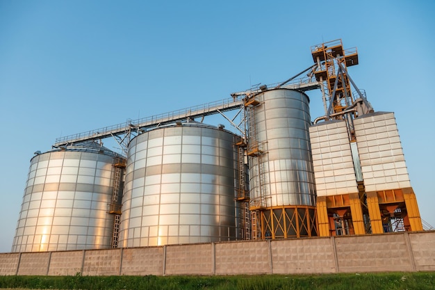 Naast een tarwe-landbouwveld geïnstalleerde zilveren silo's op agro-fabriek voor verwerking drogen schoonmaken en opslag van landbouwproducten meel granen en graan Graanschuurlift