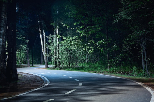 Nacht asfalt voetpad in park verlicht door straatlantaarn Nacht met bochtige rijbaan in bos in nationaal park Nachtweg in bos Schilderachtig nachtlandschap van weg door het park