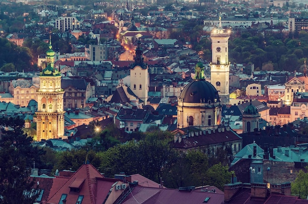 Nacht Lviv-uitzicht