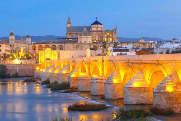 Nacht Mezquita en Romeinse brug in Cordoba, Spanje