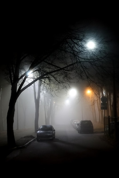 Nacht straat verlicht door een lantaarn. Mist. Auto's aan de zijlijn. Griezelig landschap