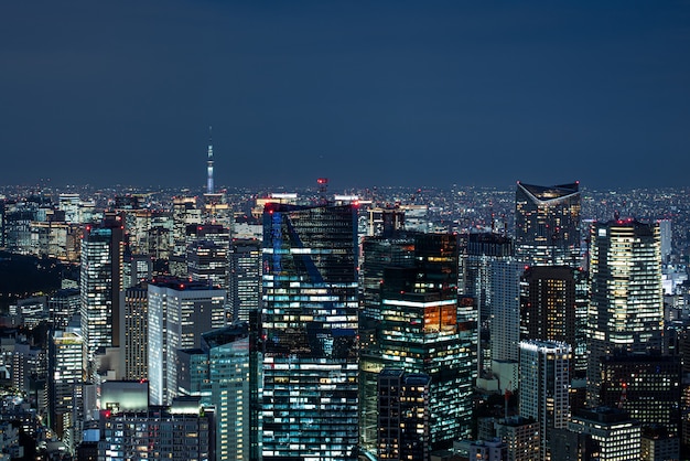 Nacht uitzicht op de stad van hoge gebouwen skyline