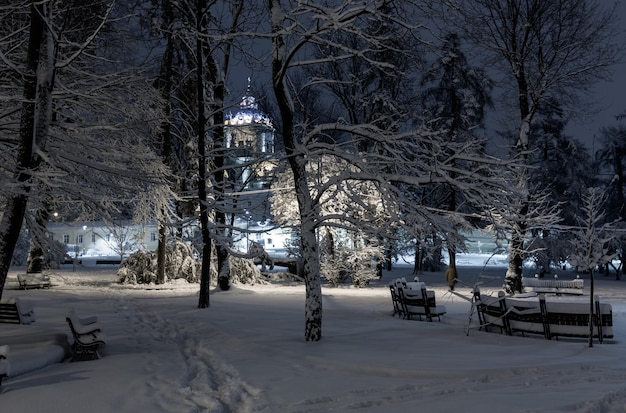 Nacht winterpark in lviv, oekraïne