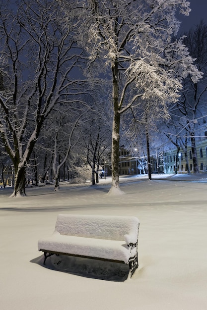 Nacht winterpark in Lviv, Oekraïne