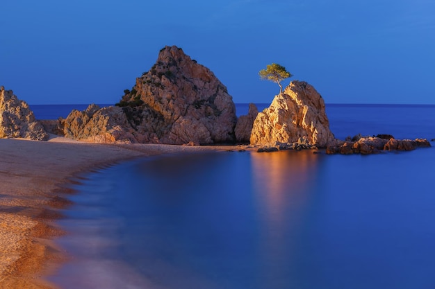 Nacht zee op de voorgrond rotsen en bomen op het strand van gran platja en de baai van badia de tossa in tossa de ...