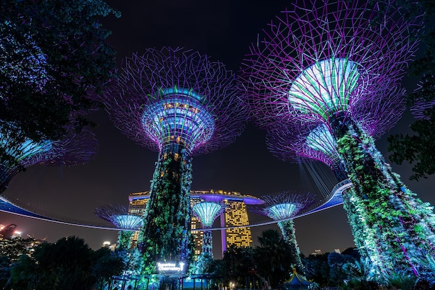 Foto nachtbeeld van supertree grove in singapore garden by the bay singapore