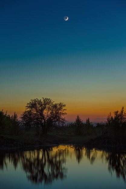 Nachtelijke hemel met de maan na zonsondergang. landschap met een boom aan het meer.