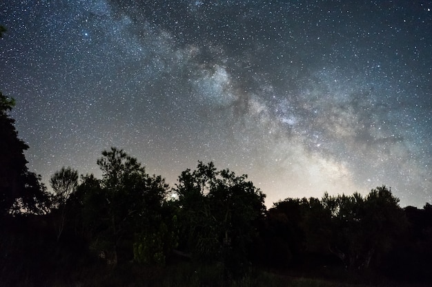 Nachtelijke hemel met Melkweg boven bos in Spanje