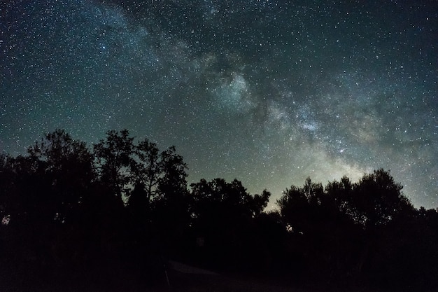 Nachtelijke hemel met Melkweg boven bos in Spanje