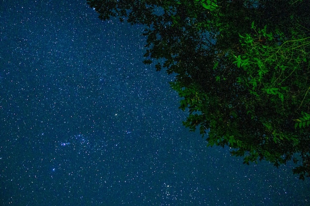 Nachtelijke hemel met sterren en Melkweg met groene tropische bomen onder luxe zwembad op de vakantie, achtergrond is prachtige berg en heuvels India Kerala wildste natuurresort