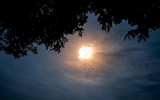 Foto nachtelijke hemelachtergrond met volle maan