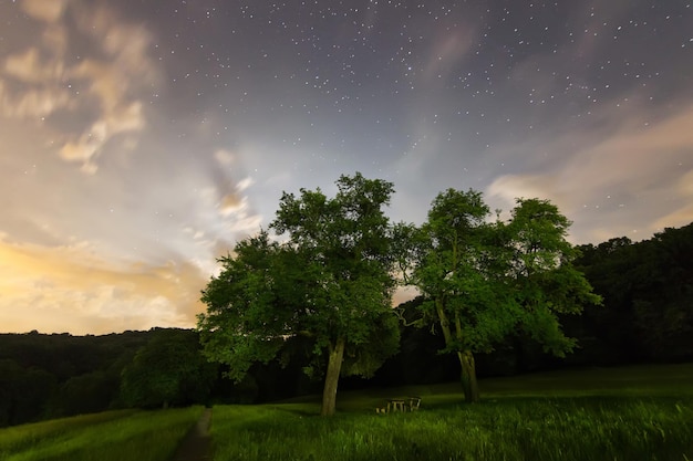 Nachtelijke hemelachtergronden met sterren en wolken