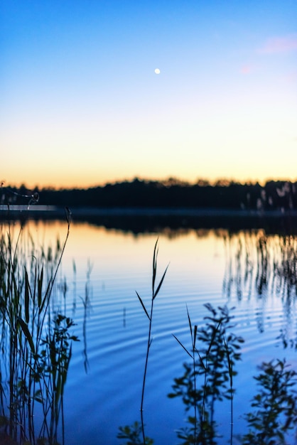 Nachtlandschap van het meer