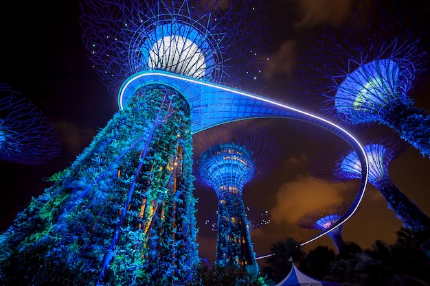 Nachtlichtshow verlichting in Garden by the Bay