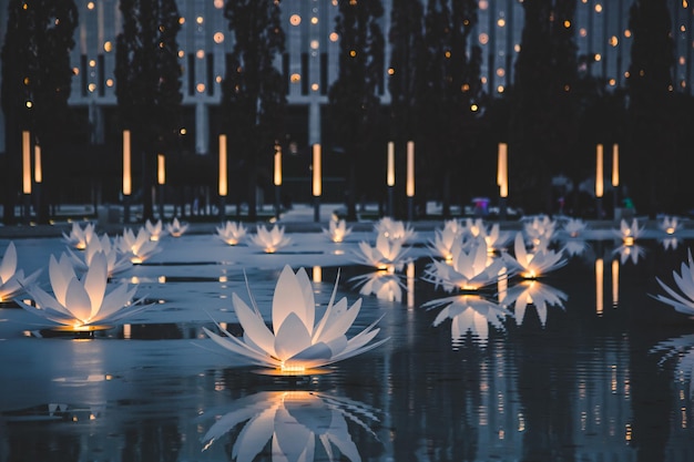 Nachtverlichting in het stadspark meer in het stadspark