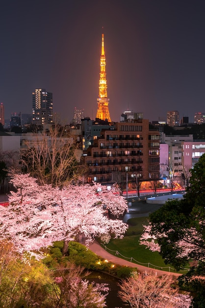 Nachtzicht van kersenbloesem met de Tokyo-toren als achtergrond Photoed bij Mori Garden Tokyo Japan